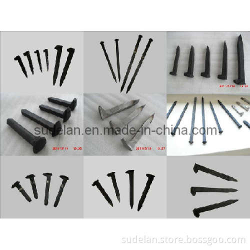 Different Types of Dog Spike/Screw Spikes